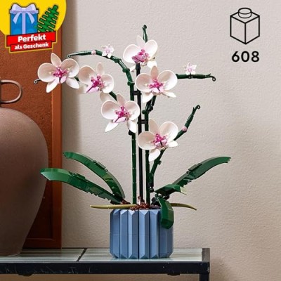 Fantasía floreciente: orquídea para los perezosos