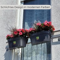 Blumenkasten mit Köpfchen: Nie mehr Gieß-Stress!