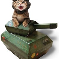 Katzen-General im Einsatz: Die Panzerhöhle!